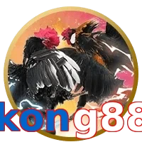 kong88